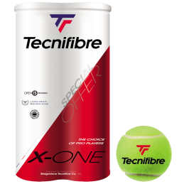 Tecnifibre X ONE 2 x 4st