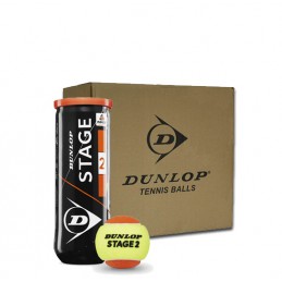 Dunlop Fort TP All Court